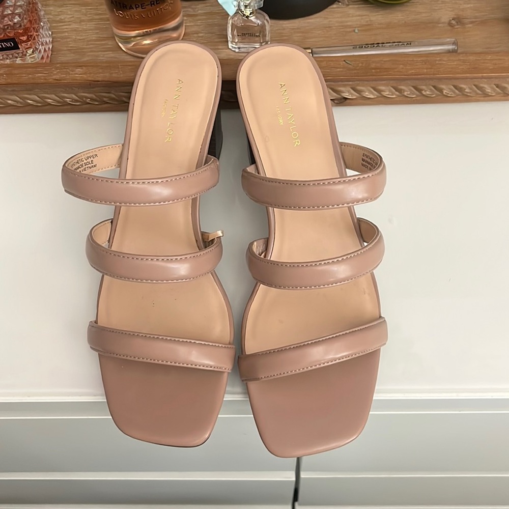 Ann Taylor brand new without tags